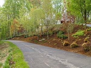 Natural landscaping on a large hill with a driveway entrance